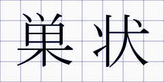 巣状