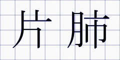 片肺