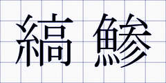 縞鯵