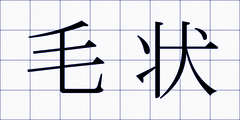 毛状