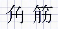 角筋