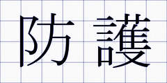 防護