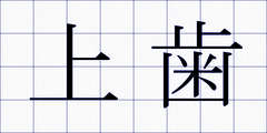 上歯