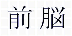 前脳