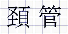 頚管