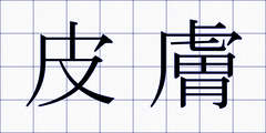 皮膚