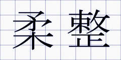 柔整