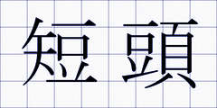 短頭