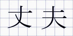 丈夫