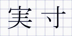 実寸