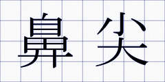 鼻尖