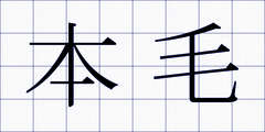 本毛