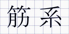 筋系
