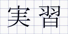 実習