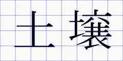 土壌