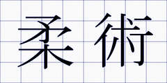 柔術