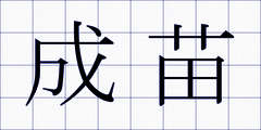 成苗