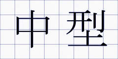 中型