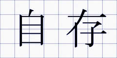 自存