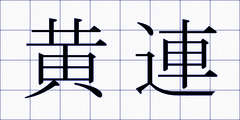 黄連