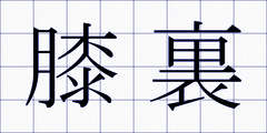 膝裏