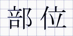 部位