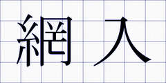 網入
