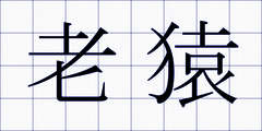 老猿