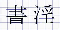 書淫