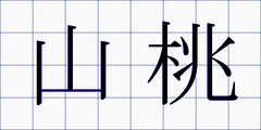 山桃