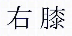 右膝