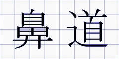 鼻道