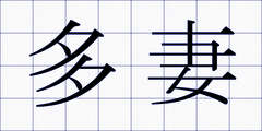 多妻