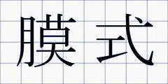 膜式