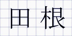 田根