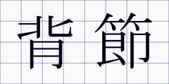 背節