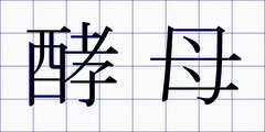 酵母