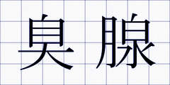 臭腺