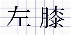 左膝