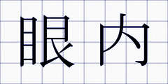 眼内