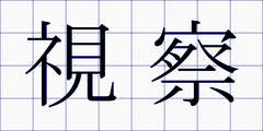 視察