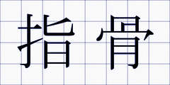 指骨