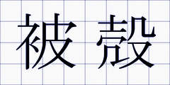 被殻