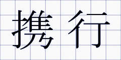 携行