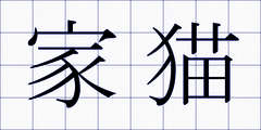 家猫