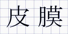 皮膜