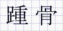 踵骨