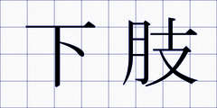 下肢
