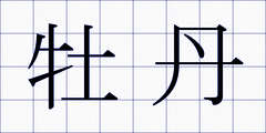 牡丹