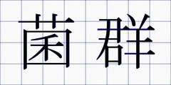 菌群
